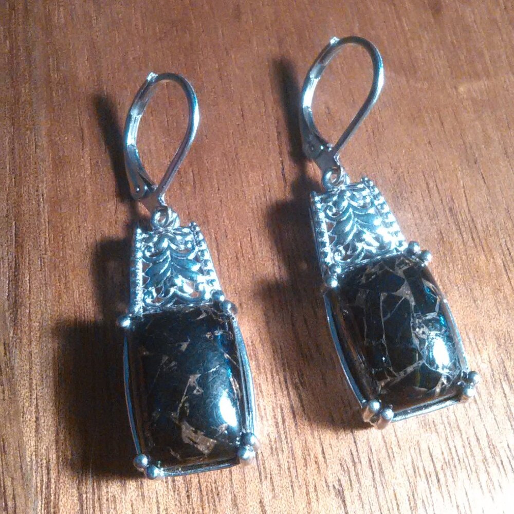 Matrix Silver Shungite Platinum Over Copper Lever Back Earrings